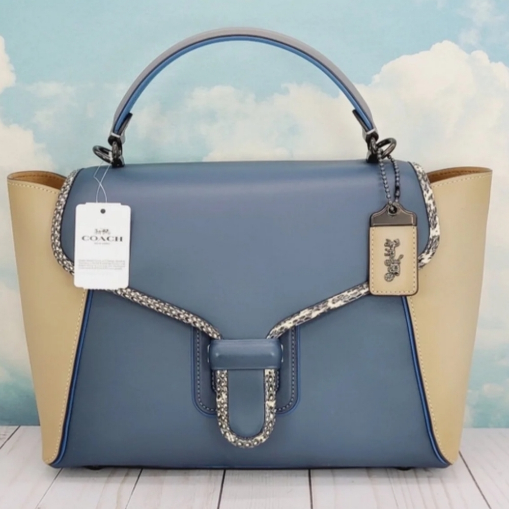 Coach Blue and Tan Women's Bag